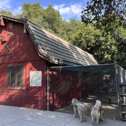 Howarth Park - Little barn hee