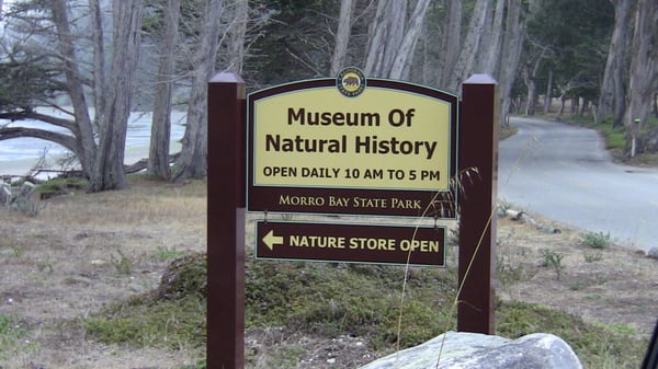 Museum of Natural History by null