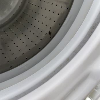 Hyde Park Property Management - Roaches - Apartments Near Me - Chicago, Illinois