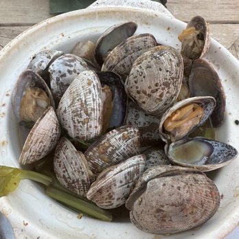 CanoeHouse - Sake clams - Japanese Near Me - Kamuela, Hawaii CanoeHouse - Sake clams - Japanese Near Me - Kamuela, Hawaii