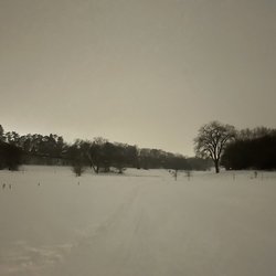 Como Park Ski Center