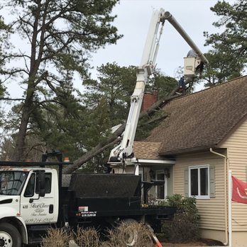 First Class Tree Service - Tree Services Near Me First Class Tree Service - Tree Services Near Me