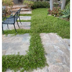 Edwords Horticulture