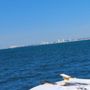 Photo of Myrtle Beach Dolphin Cruises - Sea Thunder