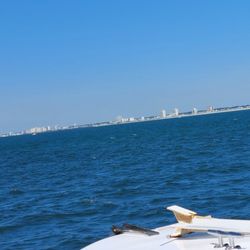 Myrtle Beach Dolphin Cruises - Sea Thunder - Myrtle beach