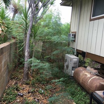 Precision Yard & Tree Services - Before picture of yard - Tree Services Near Me Precision Yard & Tree Services - Before picture of yard - Tree Services Near Me