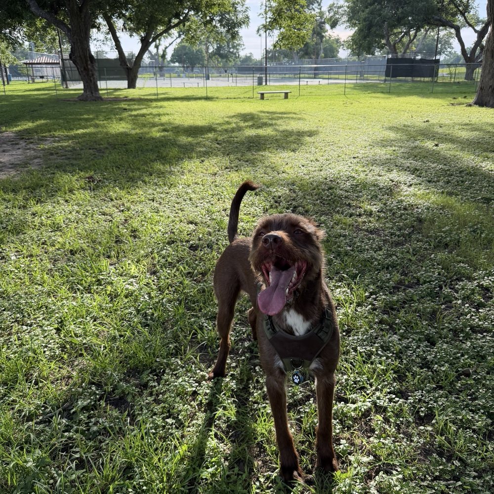 Barky Park - FIRST TIMER - Dog Parks Near Me - Seguin, Texas