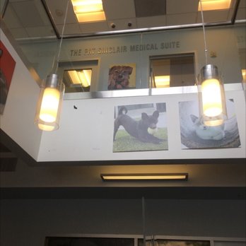 Pets In Need - Upstairs - Animal Shelters Near Me - Redwood City, California