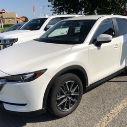 Budget Car Rental - 972-370-9098