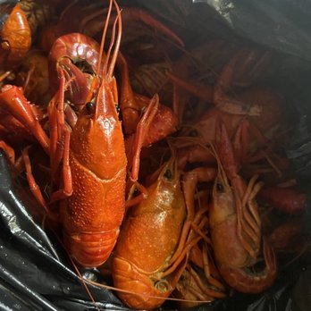The Shack - Crawfish - Southern Near Me - Evergreen, Alabama