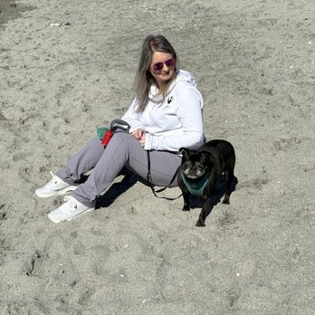 Brohard Paw Park & Beach - Dog Parks Near Me - Venice, Florida