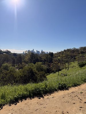 Elysian Park Trail by null