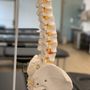 Photo of Dena Sports Physio - Mount Royal