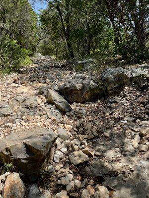 Government Canyon State Natural Area by null