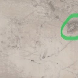 My only request was to please not cut this spot into the island. My only request was to please not cut this spot into the island.