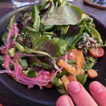 Tiki Kai - Sadly underwhelming salad, missing avo, macadamia nuts, and mango - Tiki Bars Near Me - Hermosa Beach, California Tiki Kai - Sadly underwhelming salad, missing avo, macadamia nuts, and mango - Tiki Bars Near Me - Hermosa Beach, California