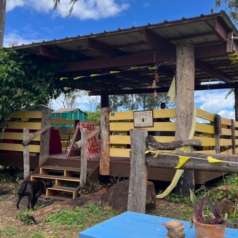 Hawaii Queen Bees - a blue picnic table and a blue bench - Honey Near Me - Waialua, Hawaii