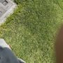 Photo of Ferncliff Cemetery