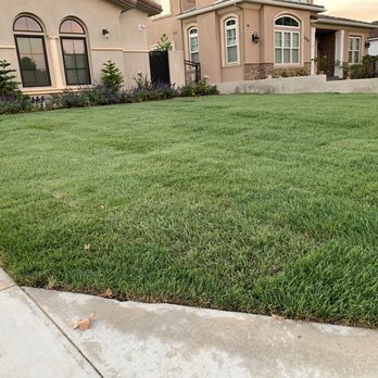 Barragan Landscaping & Irrigation - Landscaper Santa Clarita - Irrigation Near Me - San Fernando, California
