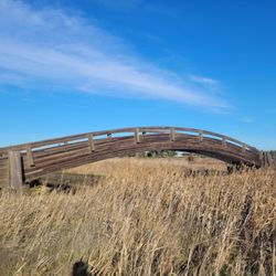 Radke Martinez Regional Shoreline - Afternoon walk today