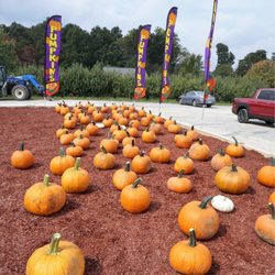 Oren Wooden's Apple House - Pumpkin patch