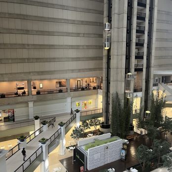 Dallas Marriott Downtown - The view from interior room - Hotels Near Me - Dallas, Texas