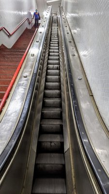 Chicago Transit Authority by null
