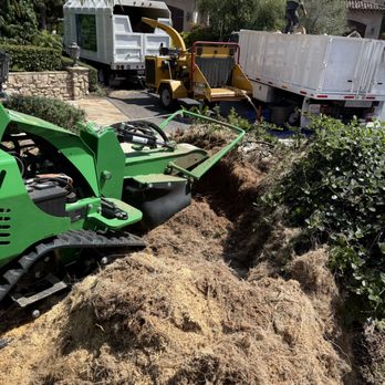 Lucas Tree Service - Tree Services Near Me Lucas Tree Service - Tree Services Near Me