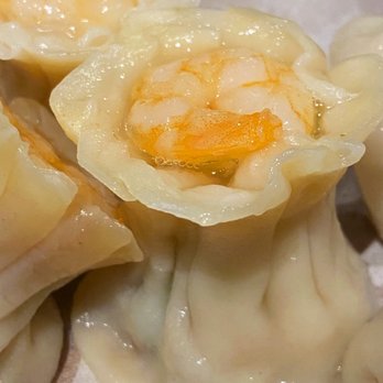 Dinesty Dumpling House - Chinese Near Me - Vancouver, British Columbia Dinesty Dumpling House - Chinese Near Me - Vancouver, British Columbia