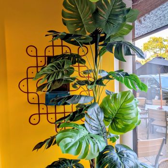 Thalaiva's Indian Kitchen - Indian Near Me - Park Ridge, Illinois