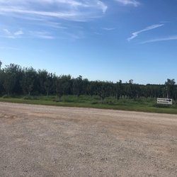 Rasa Orchards