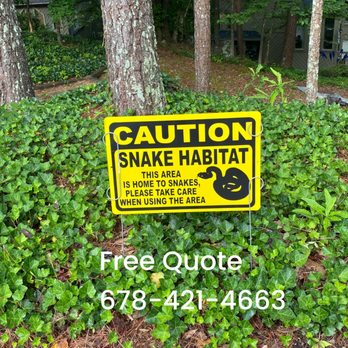 Peachtree Ivy Removal - Landscaping Near Me Peachtree Ivy Removal - Landscaping Near Me