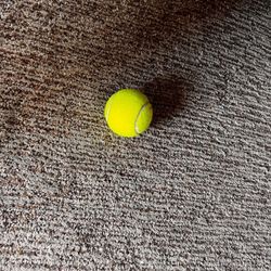 Windermere Vacation Rentals - Brand new tennis ball. My fiancé brought it in for my 2.5 year old niece to play with.