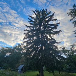 Meadowland Park