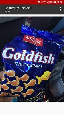 Morning Glory Café by null