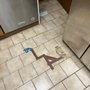Photo of D and D Home Repair