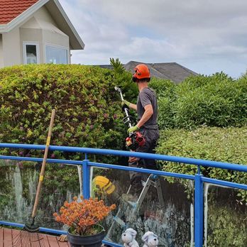Simply Trees - Tree Services Near Me - Manteca, California