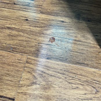 SkyLight Inn & Suites - Sticky gummy right by the bed - Hotels Near Me - Willoughby, Ohio