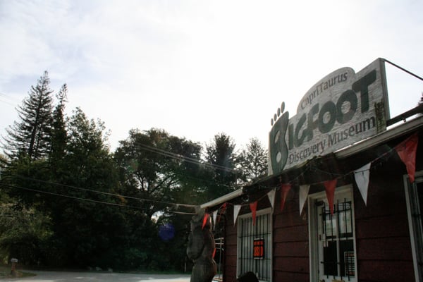Bigfoot Discovery Museum by null