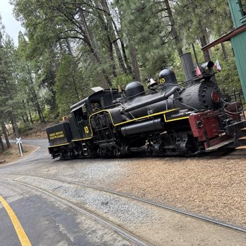 Yosemite Mountain Sugar Pine Railroad - Tours Near Me - Fish Camp, California