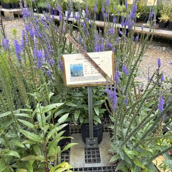 Northwind Perrenial Farm - Flowers & Gifts Near Me - Burlington, Wisconsin
