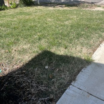 TruGreen Lawn Care - a fire hydrant in the yard - Tree Services Near Me - Acworth, Georgia