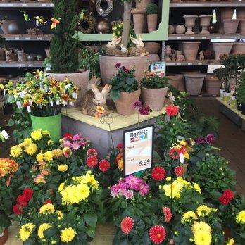 Tuincentrum Daniëls - Spring is here - Nurseries & Gardening Near Me - Vlodrop, LI
