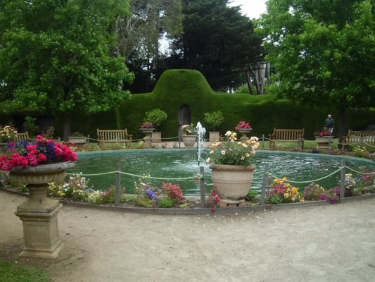 Ashcombe Maze & Lavender Gardens by null