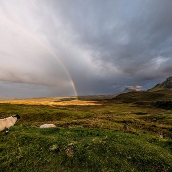 The Quiraing - Hiking Near Me - Skye, HLD