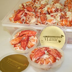 Catch a Piece of Maine - Fresh picked Maine lobster meat