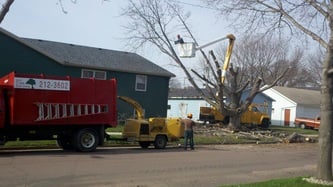 AAA Tree Service Sioux Falls SD - tree service in Sioux Falls, SD