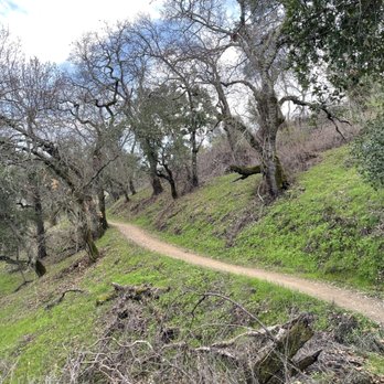 Castleridge Trailhead - Hiking Near Me - Pleasanton, California
