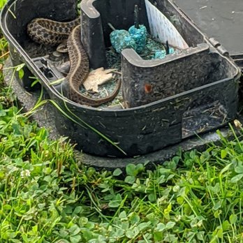 Viking Pest Control - Pest Control Near Me - Ocean, New Jersey