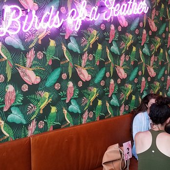 Parakeet Cafe - La Jolla - So cute - Coffee & Tea Near Me - La Jolla, California
